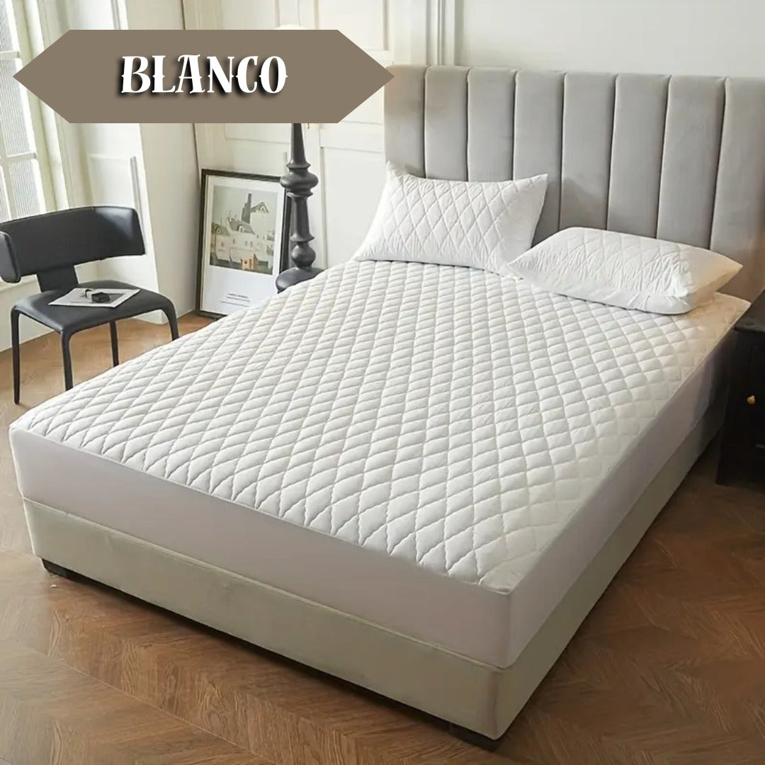 Protectores Premium, Paga 1 y lleva 6 🔥