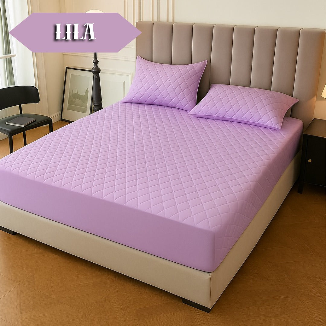 Protectores Premium, Paga 1 y lleva 6 🔥