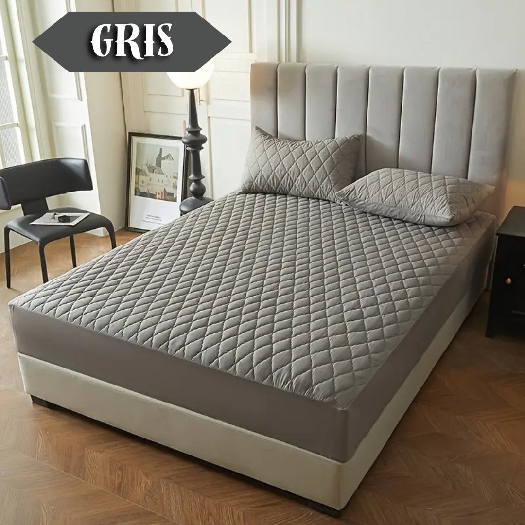 Protectores Premium, Paga 1 y lleva 6 🔥